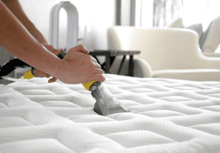 Βιολογικός καθαρισμός στρώματος με εξειδικευμένο εξοπλισμό για αφαίρεση ακάρεων